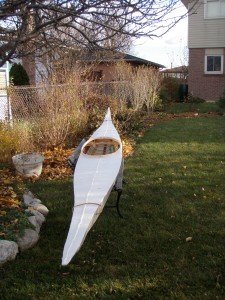 Skin Ready To Shrink (Stern View)
